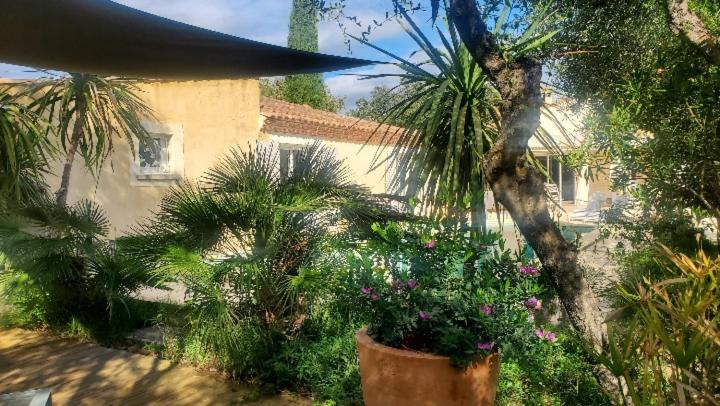 Le Clos Olives Comps  Exteriér fotografie