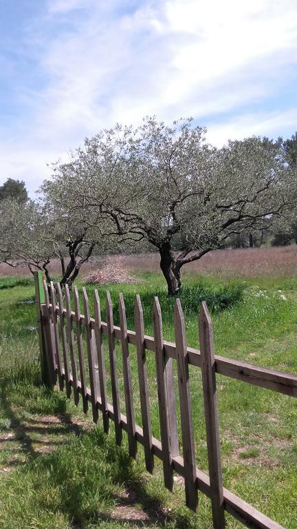 Le Clos Olives Comps  Exteriér fotografie
