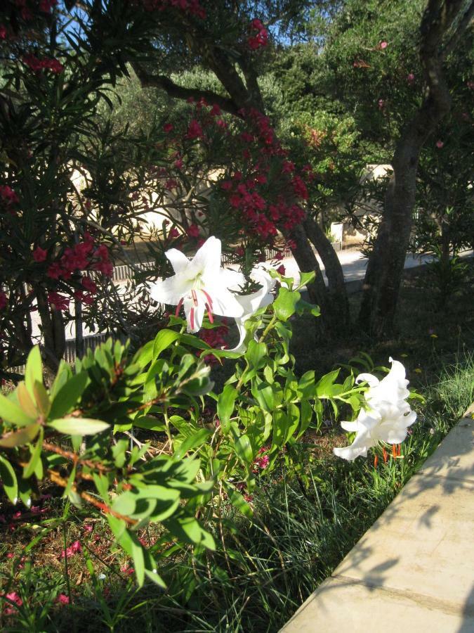 Le Clos Olives Comps  Exteriér fotografie